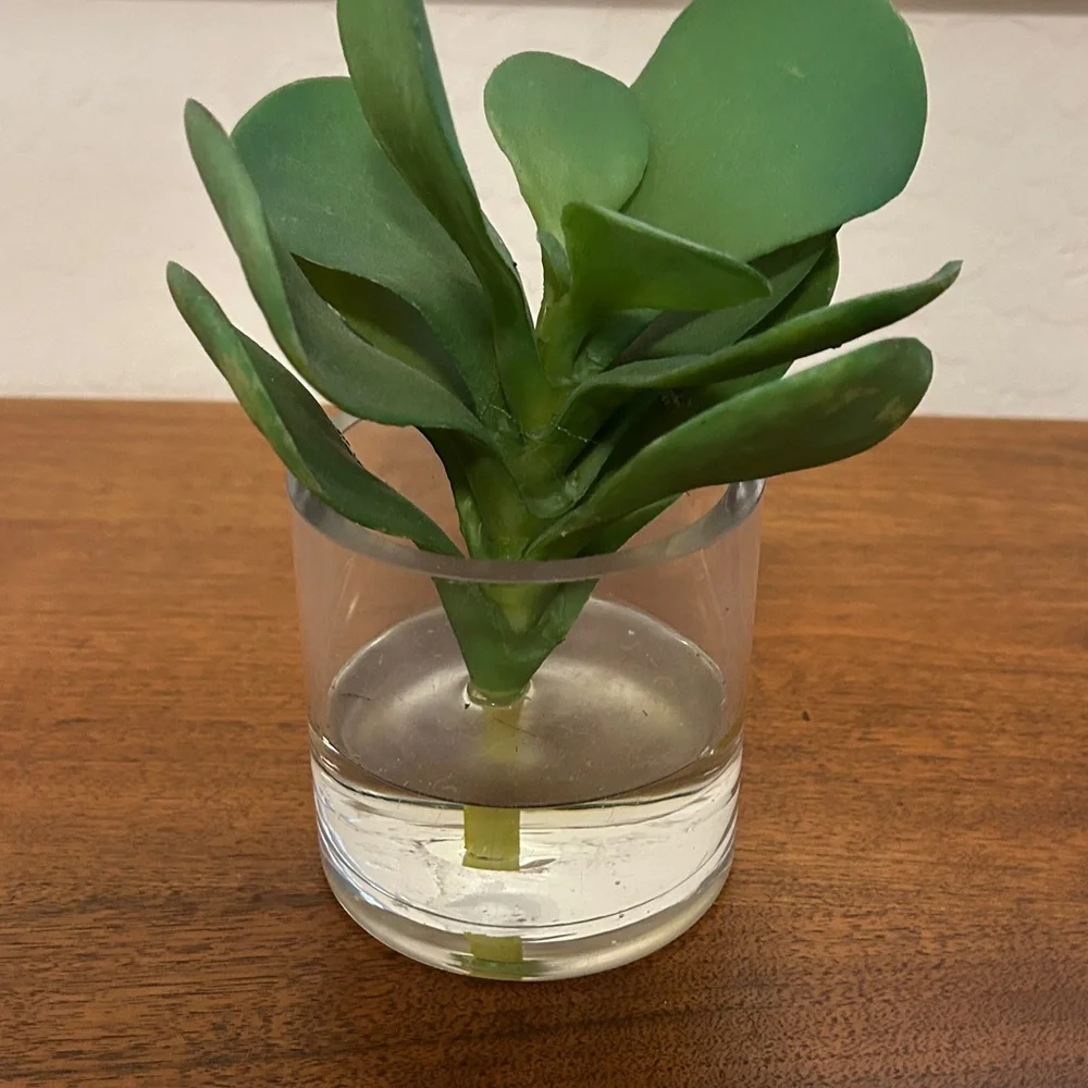 Green Artificial Plant in Clear Glass Vase
